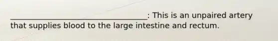 ___________________________________: This is an unpaired artery that supplies blood to the large intestine and rectum.