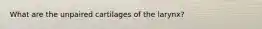 What are the unpaired cartilages of the larynx?