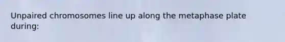 Unpaired chromosomes line up along the metaphase plate during: