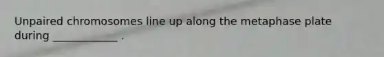 Unpaired chromosomes line up along the metaphase plate during ____________ .