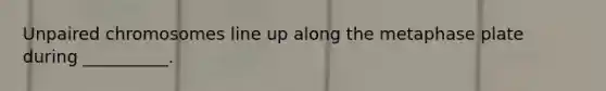 Unpaired chromosomes line up along the metaphase plate during __________.