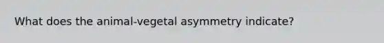 What does the animal-vegetal asymmetry indicate?