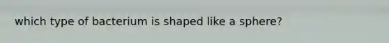 which type of bacterium is shaped like a sphere?