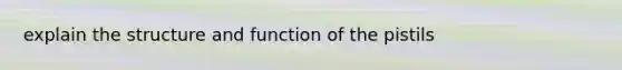 explain the structure and function of the pistils