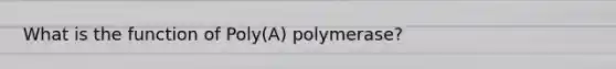 What is the function of Poly(A) polymerase?