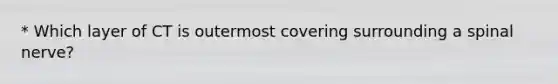 * Which layer of CT is outermost covering surrounding a spinal nerve?