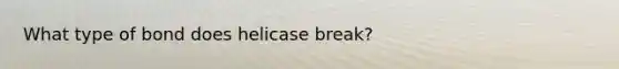 What type of bond does helicase break?