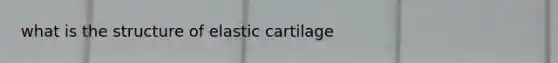 what is the structure of elastic cartilage