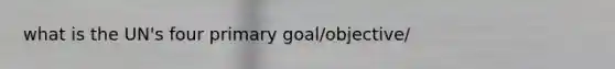 what is the UN's four primary goal/objective/