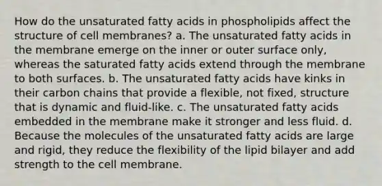 How do the unsaturated fatty acids in phospholipids affect the structure of cell membranes? a. The unsaturated fatty acids in the membrane emerge on the inner or outer surface only, whereas the saturated fatty acids extend through the membrane to both surfaces. b. The unsaturated fatty acids have kinks in their carbon chains that provide a flexible, not fixed, structure that is dynamic and fluid-like. c. The unsaturated fatty acids embedded in the membrane make it stronger and less fluid. d. Because the molecules of the unsaturated fatty acids are large and rigid, they reduce the flexibility of the lipid bilayer and add strength to the cell membrane.