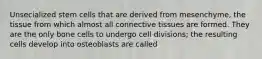 Unsecialized stem cells that are derived from mesenchyme, the tissue from which almost all connective tissues are formed. They are the only bone cells to undergo cell divisions; the resulting cells develop into osteoblasts are called