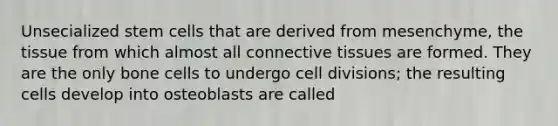 Unsecialized stem cells that are derived from mesenchyme, the tissue from which almost all connective tissues are formed. They are the only bone cells to undergo cell divisions; the resulting cells develop into osteoblasts are called