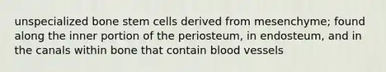 unspecialized bone stem cells derived from mesenchyme; found along the inner portion of the periosteum, in endosteum, and in the canals within bone that contain blood vessels