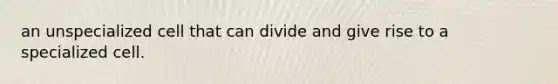 an unspecialized cell that can divide and give rise to a specialized cell.