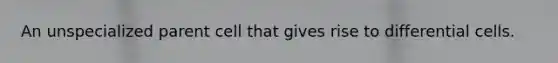An unspecialized parent cell that gives rise to differential cells.
