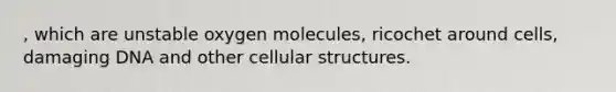 , which are unstable oxygen molecules, ricochet around cells, damaging DNA and other cellular structures.