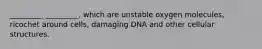 _________ _________, which are unstable oxygen molecules, ricochet around cells, damaging DNA and other cellular structures.