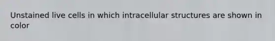 Unstained live cells in which intracellular structures are shown in color