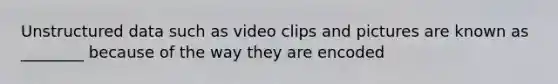 Unstructured data such as video clips and pictures are known as ________ because of the way they are encoded