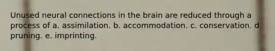 Unused neural connections in the brain are reduced through a process of a. assimilation. b. accommodation. c. conservation. d. pruning. e. imprinting.