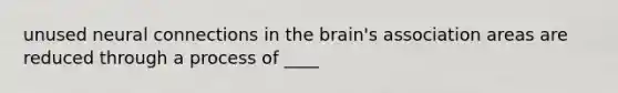 unused neural connections in the brain's association areas are reduced through a process of ____