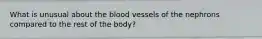 What is unusual about the blood vessels of the nephrons compared to the rest of the body?