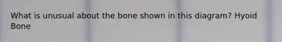 What is unusual about the bone shown in this diagram? Hyoid Bone