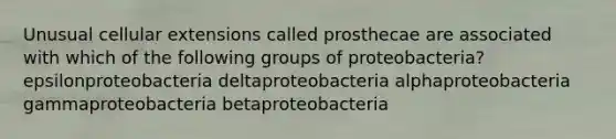 Unusual cellular extensions called prosthecae are associated with which of the following groups of proteobacteria? epsilonproteobacteria deltaproteobacteria alphaproteobacteria gammaproteobacteria betaproteobacteria