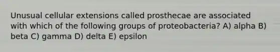 Unusual cellular extensions called prosthecae are associated with which of the following groups of proteobacteria? A) alpha B) beta C) gamma D) delta E) epsilon