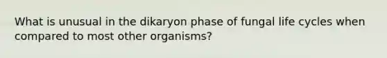 What is unusual in the dikaryon phase of fungal life cycles when compared to most other organisms?