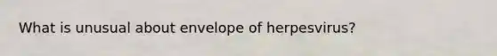 What is unusual about envelope of herpesvirus?