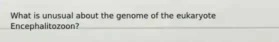 What is unusual about the genome of the eukaryote Encephalitozoon?