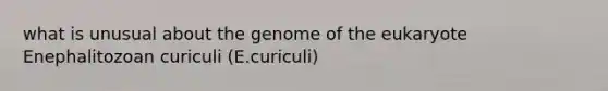 what is unusual about the genome of the eukaryote Enephalitozoan curiculi (E.curiculi)