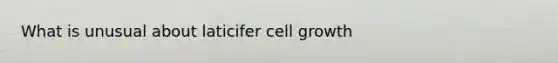 What is unusual about laticifer cell growth