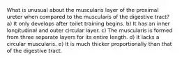 What is unusual about the muscularis layer of the proximal ureter when compared to the muscularis of the digestive tract? a) It only develops after toilet training begins. b) It has an inner longitudinal and outer circular layer. c) The muscularis is formed from three separate layers for its entire length. d) It lacks a circular muscularis. e) It is much thicker proportionally than that of the digestive tract.