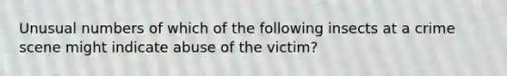 Unusual numbers of which of the following insects at a crime scene might indicate abuse of the victim?