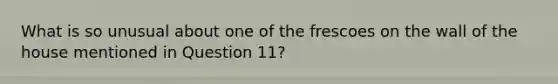 What is so unusual about one of the frescoes on the wall of the house mentioned in Question 11?