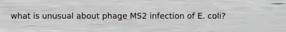 what is unusual about phage MS2 infection of E. coli?