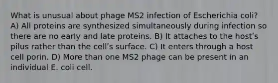 What is unusual about phage MS2 infection of Escherichia coli? A) All proteins are synthesized simultaneously during infection so there are no early and late proteins. B) It attaches to the hostʹs pilus rather than the cellʹs surface. C) It enters through a host cell porin. D) <a href='https://www.questionai.com/knowledge/keWHlEPx42-more-than' class='anchor-knowledge'>more than</a> one MS2 phage can be present in an individual E. coli cell.