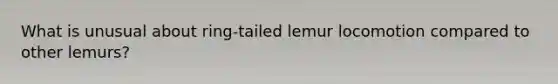 What is unusual about ring-tailed lemur locomotion compared to other lemurs?