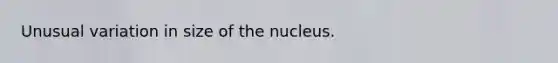 Unusual variation in size of the nucleus.