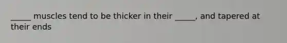 _____ muscles tend to be thicker in their _____, and tapered at their ends