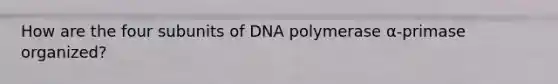 How are the four subunits of DNA polymerase α-primase organized?