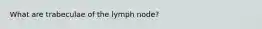 What are trabeculae of the lymph node?