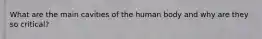 What are the main cavities of the human body and why are they so critical?
