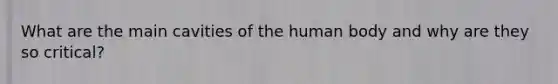 What are the main cavities of the human body and why are they so critical?