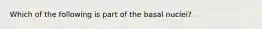 Which of the following is part of the basal nuclei?