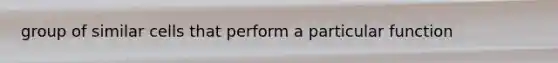 group of similar cells that perform a particular function