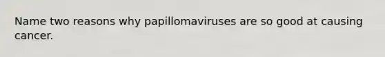 Name two reasons why papillomaviruses are so good at causing cancer.