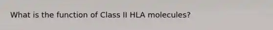 What is the function of Class II HLA molecules?